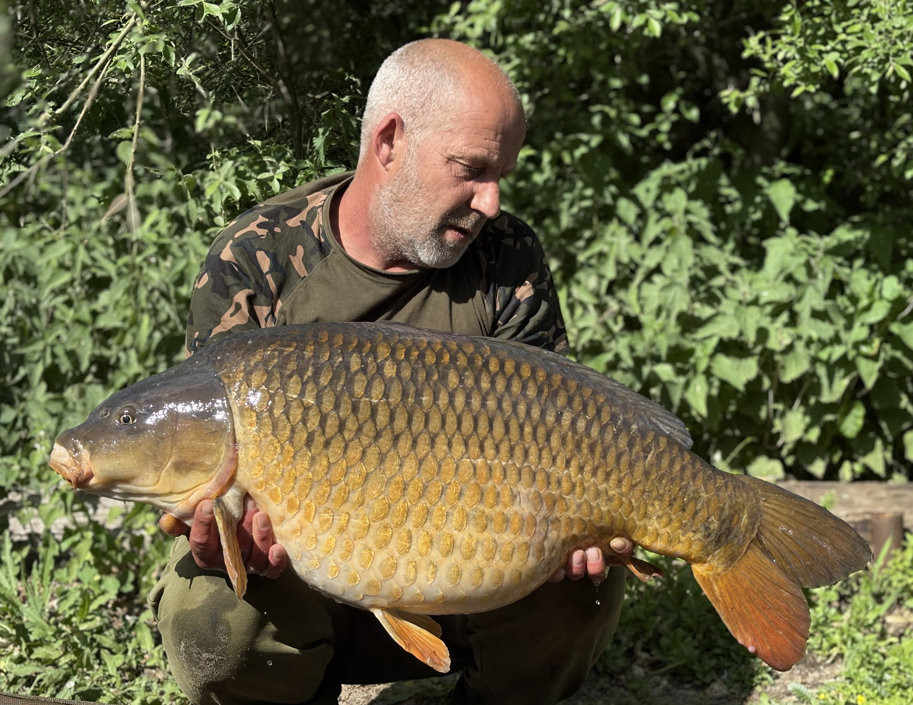 New pb | Total Carp
